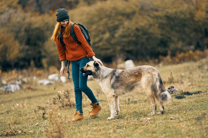 Женщина-туристка выгуливает собаку на природе в лесу