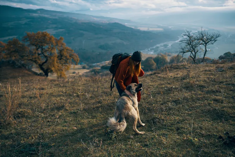 Женщины-туристки идут рядом с собакой в горах осенью