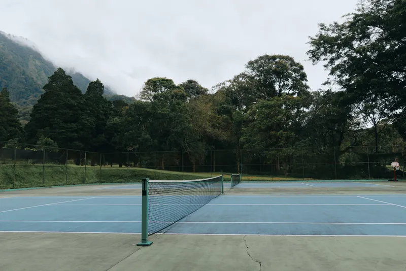 Serene outdoor tennis court with blue surface, surrounded by lush green trees under a cloudy sky, ideal for sports enthusiasts and nature lovers