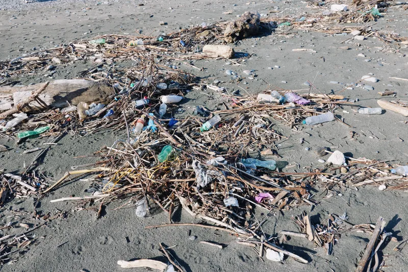 Litter on a polluted beach with scattered plastic waste and debris, trash clutter along the shore and the impact of pollution on coastal environments.