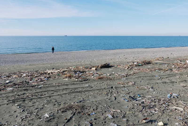 Beach scene with a lone person walking along a littered shore, calm ocean meeting a clear sky at the horizon