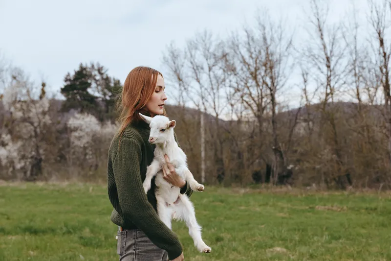 Outdoor lifestyle scene of a woman in a green sweater holding a goat kid in an open field, sharing a calm affectionate moment in nature with distant bare trees.