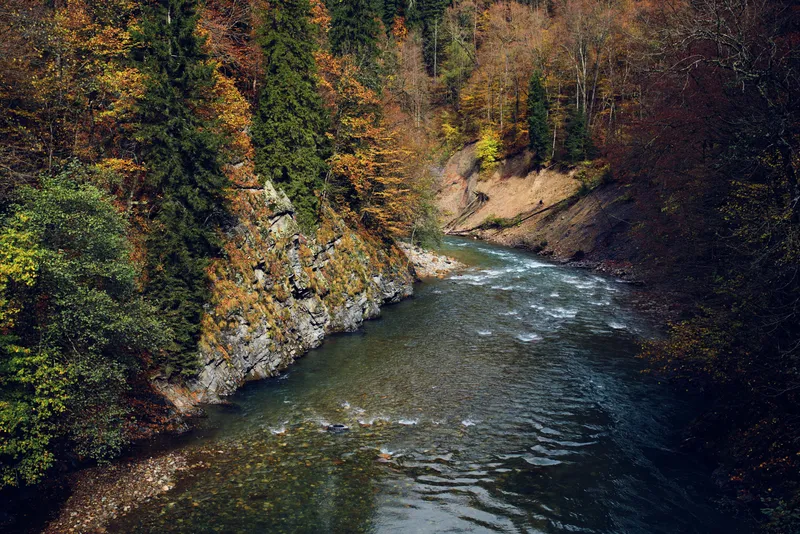 Осенний лес, горы, природа, река, путешествие, пейзаж