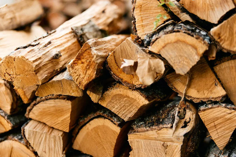 Деревенский деревянный фон с надписью «wood» на поленнице в естественном окружении