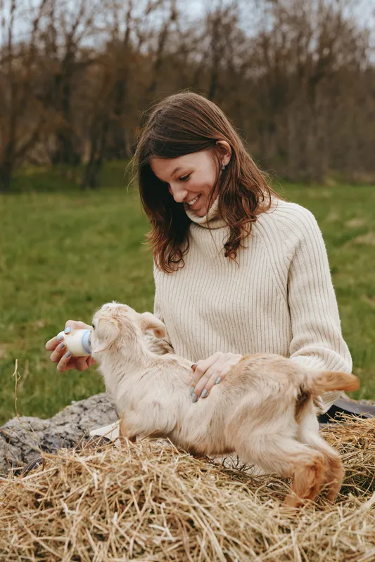 A woman in a cream knit sweater feeds a goat kid with a bottle outdoors on hay in a countryside field, capturing a warm lifestyle moment of animal care and rural bonding.