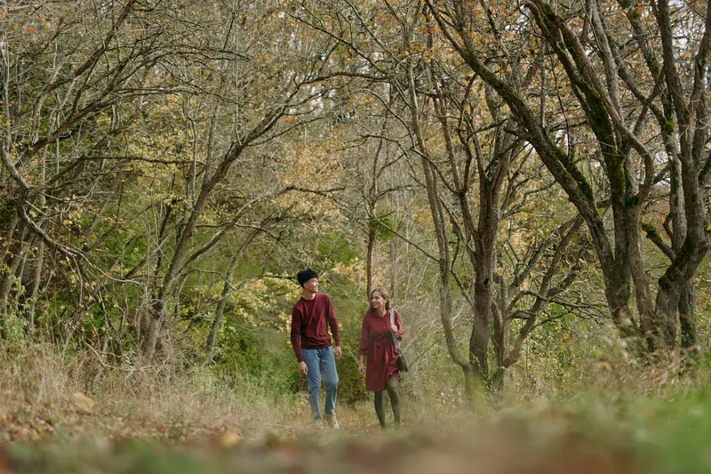 Authentic moment of a couple strolling through a sunlit forest, capturing genuine connection in soft autumn light and candid mood, without posing or distraction, quiet atmosphere and natural textures.