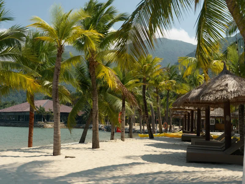 Tropical beach with palm trees and thatched umbrellas on white sand under sunny sky near calm sea and mountains.