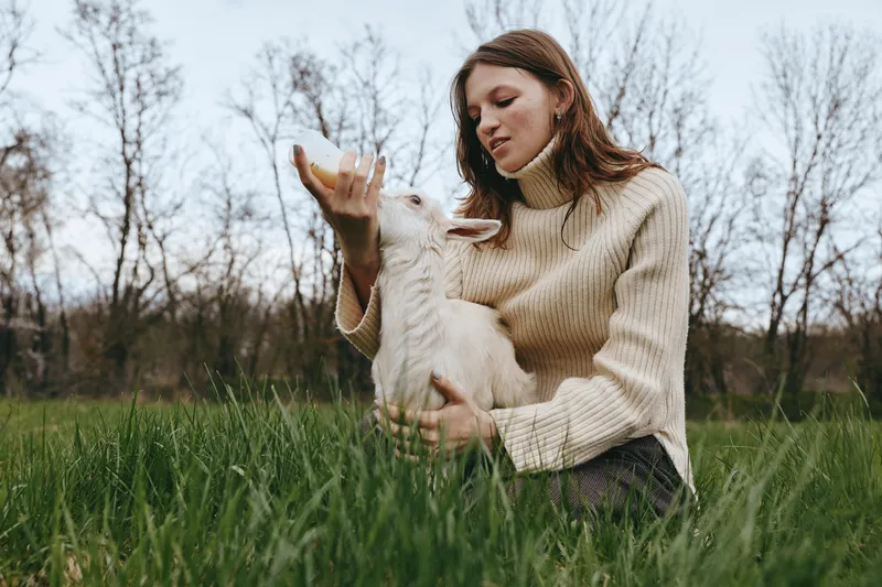 Woman in a beige sweater gently interacts with a curious goat kid in a grassy field, capturing a tender rural moment of affection and nature.