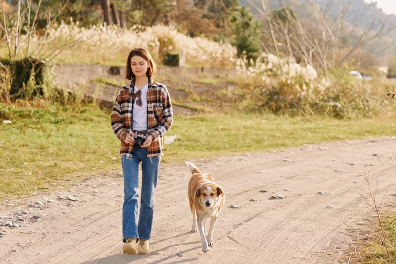 A young woman walks a dog along a dirt road through calm countryside fields, bathed in autumn light, capturing a peaceful outdoor moment of companionship and exploration.