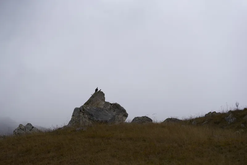 Осенний пейзаж с высокими камнями, вечерняя погода, путешествие на свежем воздухе