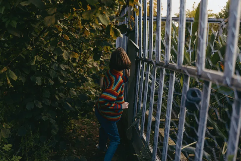Child boy in a colorful striped sweater peeking through a metal fence, exploring dense green foliage at evening, leaning on gate with curious playful expression outdoors.
