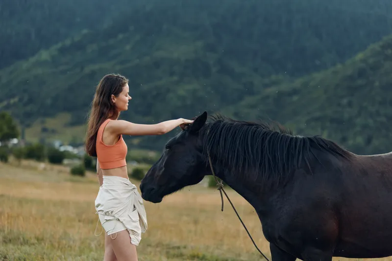 A woman in a bright orange top and light shorts stands in a grassy field, reaching toward a dark horse as a calm landscape of mountains unfolds behind.