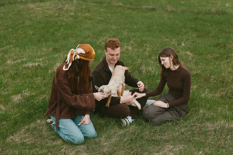 goat, kid, lifestyle, outdoors, interaction, relaxation with three people sharing a gentle moment as they pet a young goat on green grass, warm sunlight, casual attire, serene countryside vibe