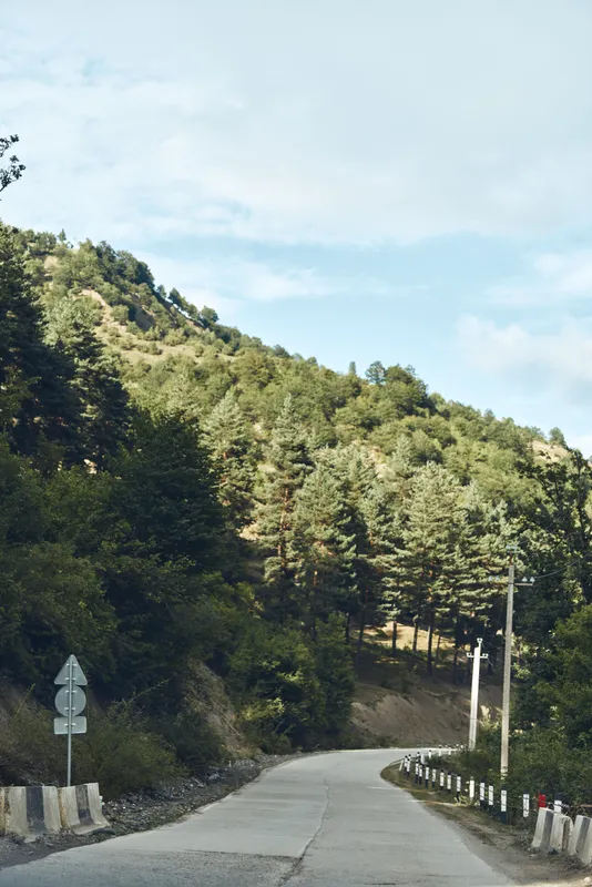 Winding road through a dense forest under a clear sky, creating a peaceful nature scene ideal for travel and outdoor exploration, with sunlight filtering through tall trees