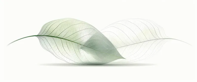 Два тонких, полупрозрачных листа мягких зеленых оттенков, изящно расположенные слоями на светлом фоне, передающие умиротворение и красоту природы
