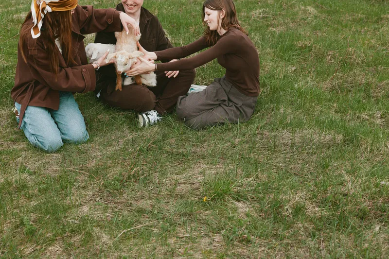 Lifeworld scene shows three friends on a grassy field gently touching a playful goat kid, creating a warm rustic lifestyle moment outdoors with soft natural light, casual clothing, and a peaceful