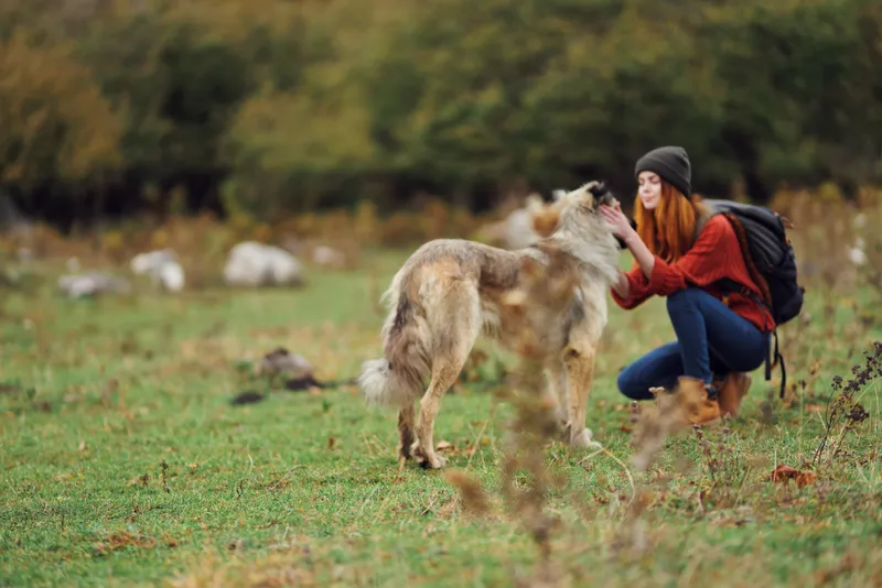 Женщина с турецкой собакой на открытом воздухе, путешествие на свежем воздухе, дружба и горы