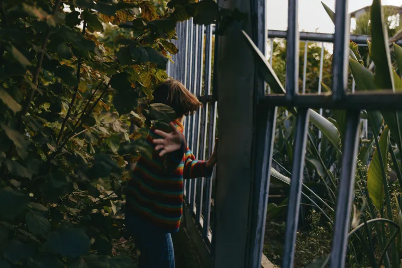 Child boy peeking through metal fence into garden among dense plants, wearing colorful striped sweater, curiosity and exploration in outdoor nature setting, back view.