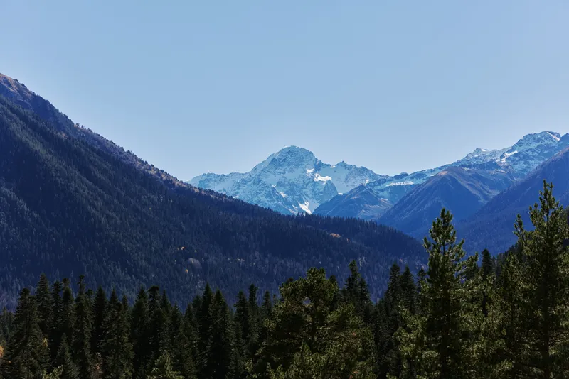 Горный лес, панорама, открытый воздух, летний отдых, окружающая среда