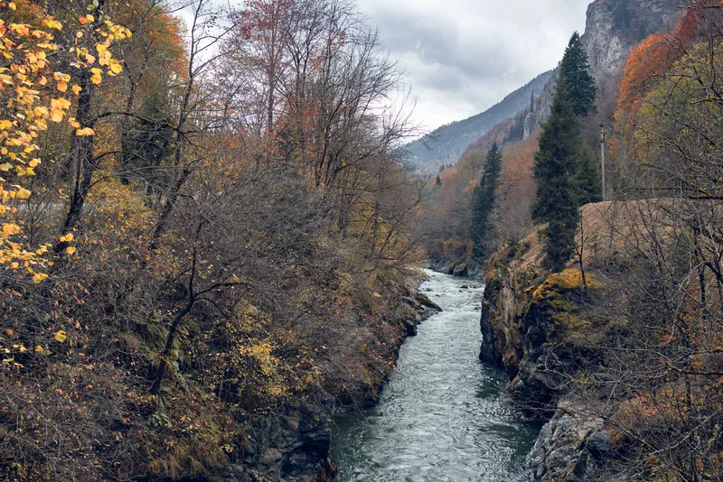 Горный осенний лес, река, пейзаж, природа, путешествия