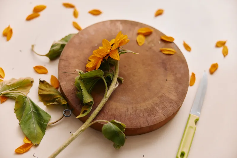 Вкусная домашняя закуска на деревянной тарелке в деревенском стиле: полезная изысканная закуска со свежими зелеными ингредиентами