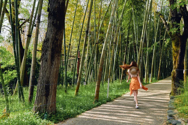 Woman walking on a pathway through a bamboo forest in summer, wearing a dress, walking away into nature along a shaded trail surrounded by green trees and sunlight.