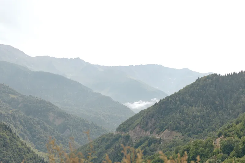 Mountain landscape with misty valleys and forested ridges layered into soft light serene nature scene conveying calm and authenticity inclusivity