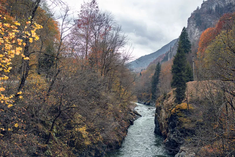 Горы, осенний лес, река, пейзаж, природа, путешествия