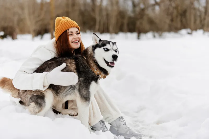 Женщина играет в снегу с собакой, веселье, дружба, зимние каникулы