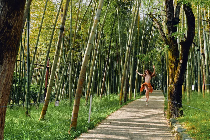 Bamboo woman path forest trees walking nature park, young woman walking barefoot along sunlit stone path through dense bamboo forest, joyful serene summer outdoor scene.