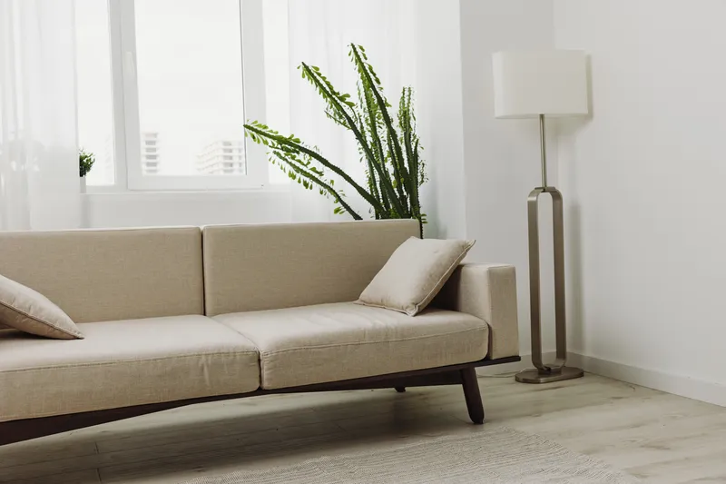 Minimalist beige sofa with pillows in bright living room featuring plant and modern floor lamp near white walls and window.