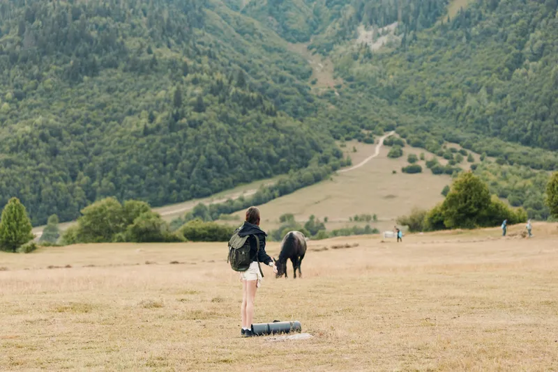 A solitary traveler stands in a wide meadow, backpack resting by their side while a horse grazes in the distance, set against rolling hills and a winding path.