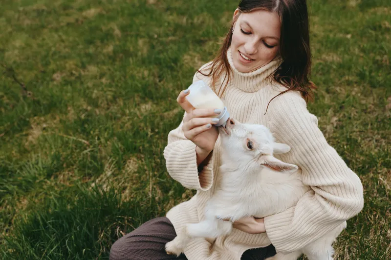 Goat, kid, woman, feeding, outdoors, pasture, grass, bonding. A woman in a cream sweater sits on green grass, bottle feeding a white goat kid, showcasing a tender moment of rural lifestyle and animal