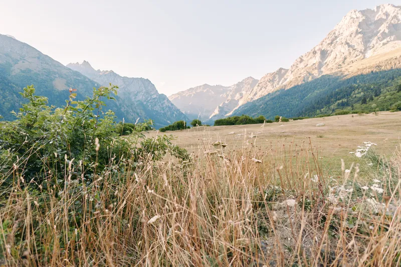Meadow mountains valley grass wildflowers landscape with dry summer field and shrubs, distant rocky peaks under soft morning sunlight, scenic nature view for travel and outdoor exploration.
