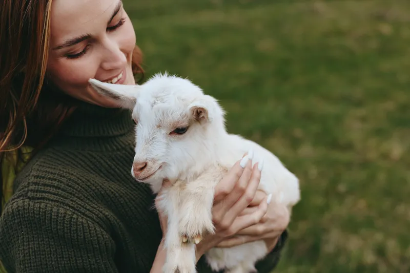 A joyful person outdoors holds a goat kid close in a green field, showcasing lifestyle, bond, and care in a warm countryside setting, with soft sunlight and peaceful air that emphasize connection and