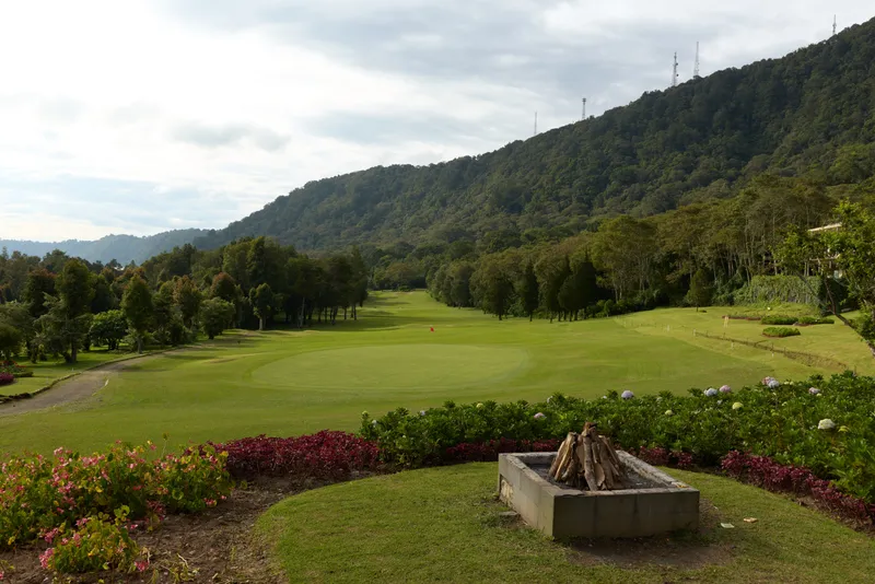 Serene golf course landscape featuring a lush green fairway, surrounded by trees and majestic mountains, perfect for relaxation and outdoor sports