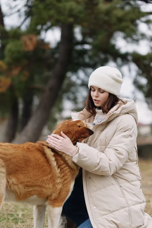 woman, dog, outdoor, winter, coat, affection, pet, park, companionship, woman interacting with a dog in a park wearing a warm coat showing affection and care outdoors in natural scenery and tranquil