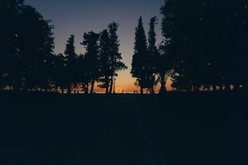 lifestyle woman in modern boho-western denim street style walking at sunset with film color tones among silhouetted trees on a serene outdoor path