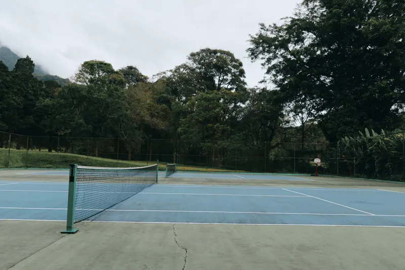 Empty tennis court surrounded by lush greenery, evoking tranquility and solitude in a natural setting, perfect for reflection and relaxation
