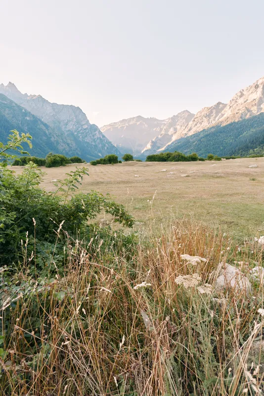 Meadow field with tall grass and shrubs leading to distant mountains and valley, wide landscape and open sky capturing nature serenity and pastoral calm in soft sunlight.