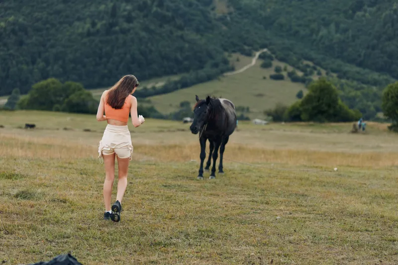 A lone woman walks across a wide field toward a calm horse, capturing a tranquil moment where nature and companionship blend in a serene rural setting.
