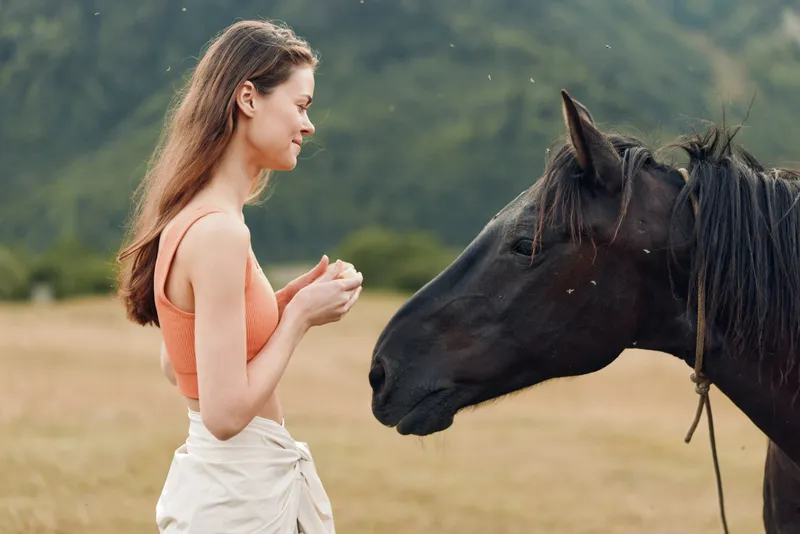 A woman in a peach top stands in a field facing a horse, gently extending a hand, a moment of quiet trust and mutual curiosity under soft daylight.