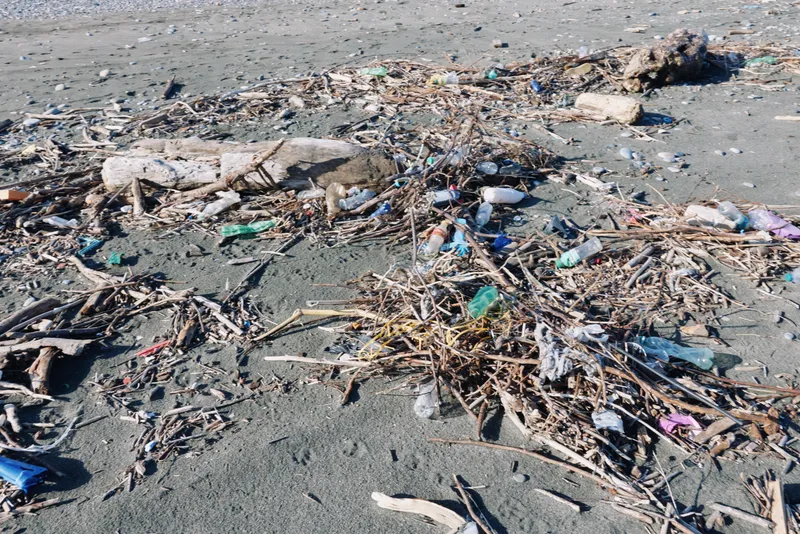 Beach scene with scattered litter and debris along the shore, highlighting plastic waste, pollution and environmental impact on a windy coastal day