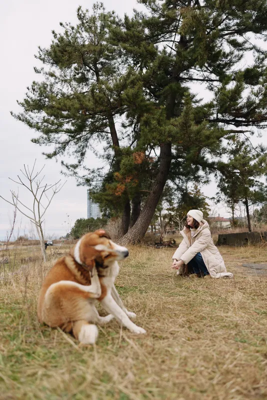 Person in a light coat sits on grass with a large dog in a park, trees in the background, a calm outdoor moment of friendship and nature.