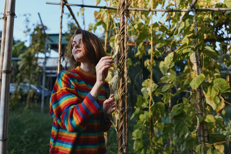 Woman in colorful striped sweater stands in garden by trellis, touching climbing plants and leaves, portrait in natural light, outdoor gardening and seasonal foliage.