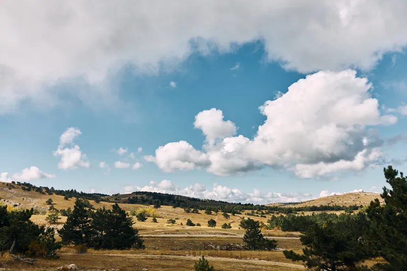 Живописный сельский пейзаж с ярко-зелёными полями, пышными деревьями и пушистыми облаками на фоне безмятежного голубого неба