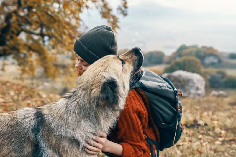 Веселая женщина-туристка играет с собакой на фоне природного пейзажа, дружба