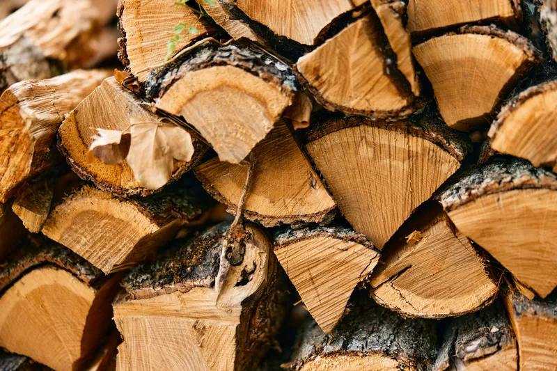 Поленница дров с надписью «wood» на фоне деревенского пейзажа