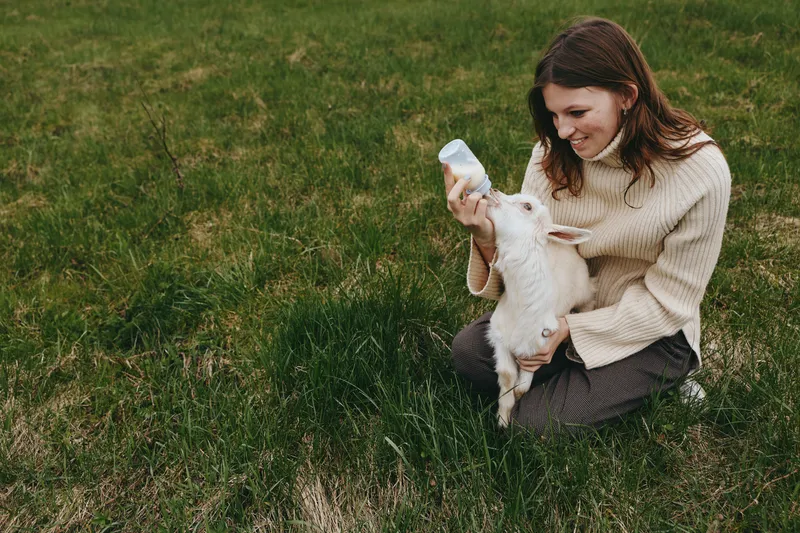 A woman feeds a goat kid with a bottle in a sunny grassy field, capturing a gentle farm lifestyle moment of care, nurture, and bonding between human and animal.