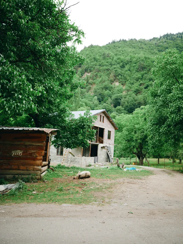 Farm, rural countryside with a small house, dirt road, grazing animals, and lush trees, capturing rustic charm and tranquil nature in a quiet outdoor scene